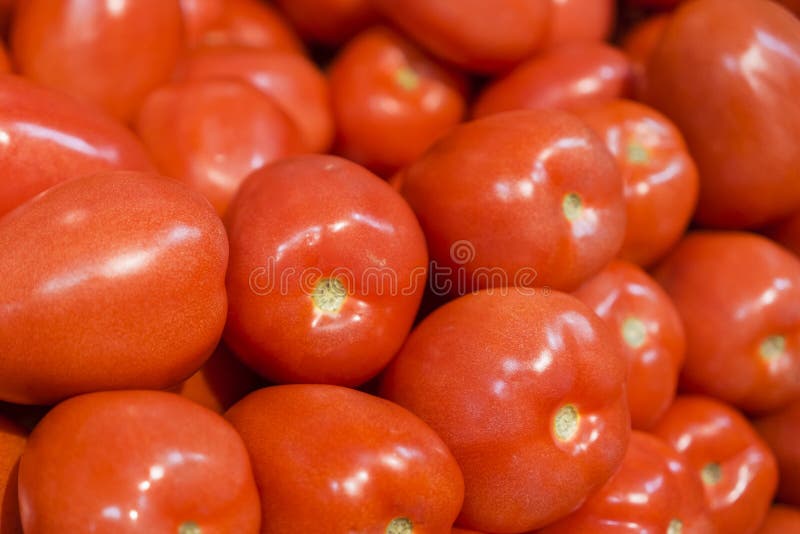 Roma Tomatos frais image stock Roma Tomatos frais image stock