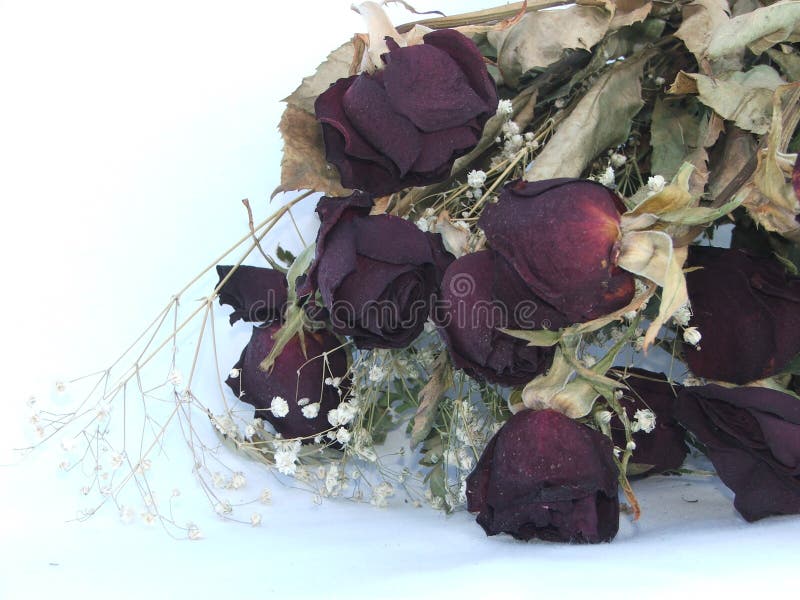 Romaans is Dood royalty-vrije stock foto Romaans is Dood royalty-vrije stock foto