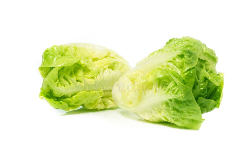 Romain Lettuce ha isolato su fondo bianco fotografie stock