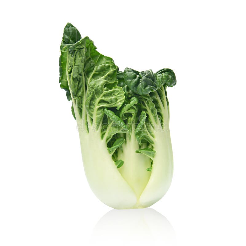 Romain Lettuce, Pak choi immagini stock libere da diritti