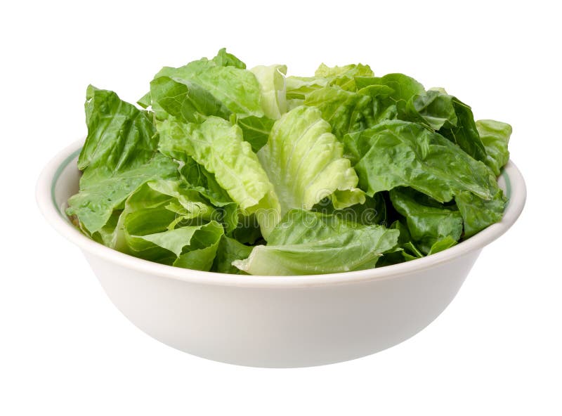 Romaine Salad Bowl a isolé image stock Romaine Salad Bowl a isolé image stock