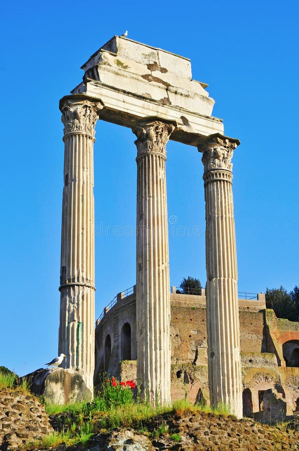 Roman Forum in Rome, Italy