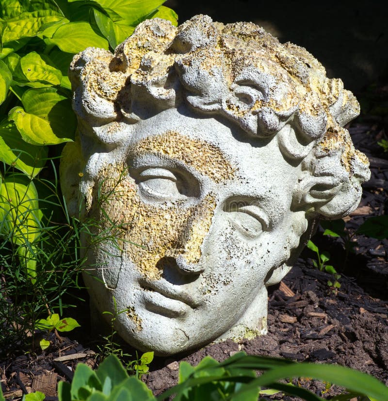 Roman Modeled Statue Head in Garden Stock Image Image of roman
