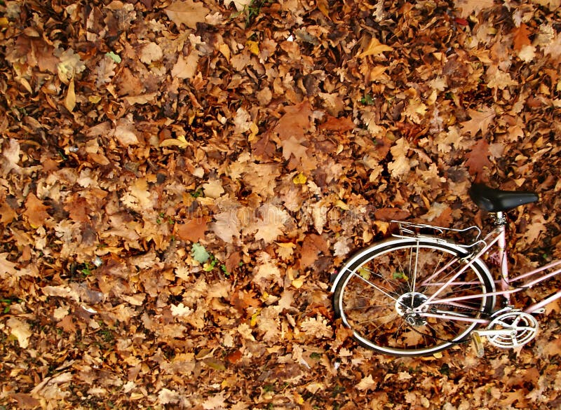 Romance da bicicleta do outono imagens de stock Romance da bicicleta do outono imagens de stock