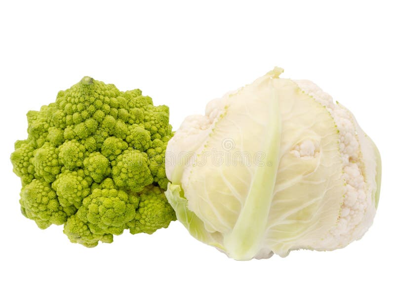 Romanesco broccoli och blomkål som isoleras på vit bakgrund royaltyfri foto Romanesco broccoli och blomkål som isoleras på vit bakgrund royaltyfri foto