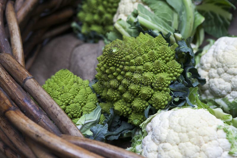 Romanesco cauliflower with its fractal shapes and Fibonacci sequences in focus, and cabbage leaves in the background.