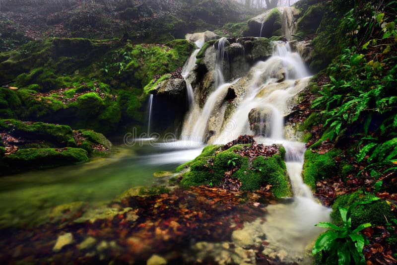 Romania beautiful landscape waterfall in the forest and natural Cheile Nerei natural park