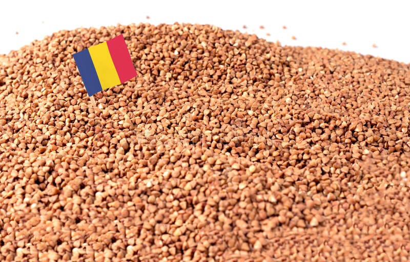 Romania Flag Sticking in Buckwheat Grain. Stock Photo Image of