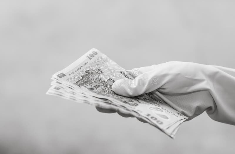 Romania LEI money. Romanian LEI currency stock image