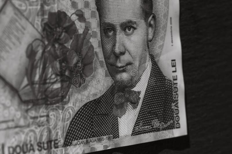 Romania LEI money. Romanian LEI currency royalty free stock photography