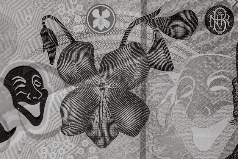 Romania LEI money. Romanian LEI currency royalty free stock images