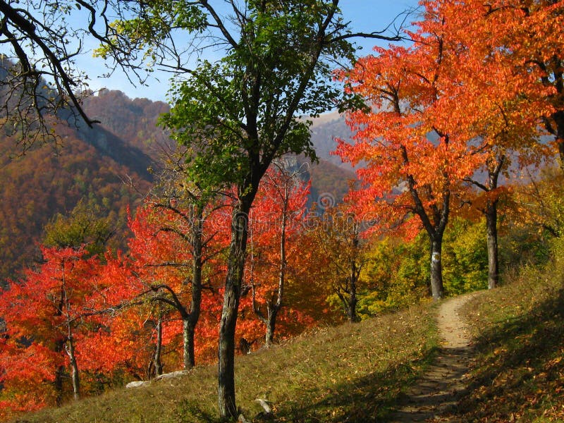 Romanian autumn landscape