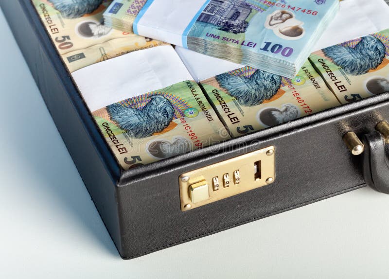 Romanian currency in a briefcase royalty free stock photography