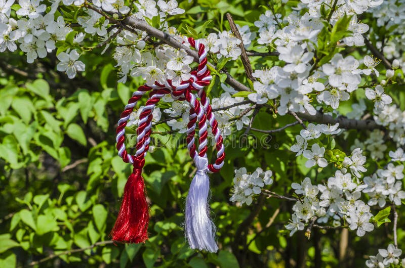 Romanian spring symbol royalty free stock photography Romanian spring symbol royalty free stock photography