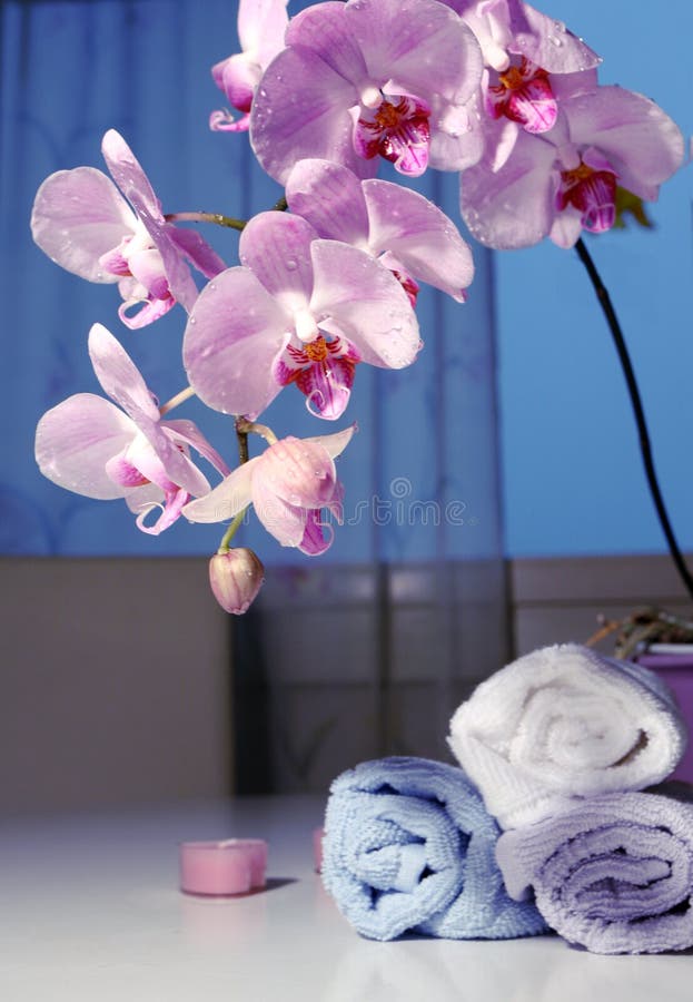 Romantic bath accessories stock image. Image of bathroom 4760873