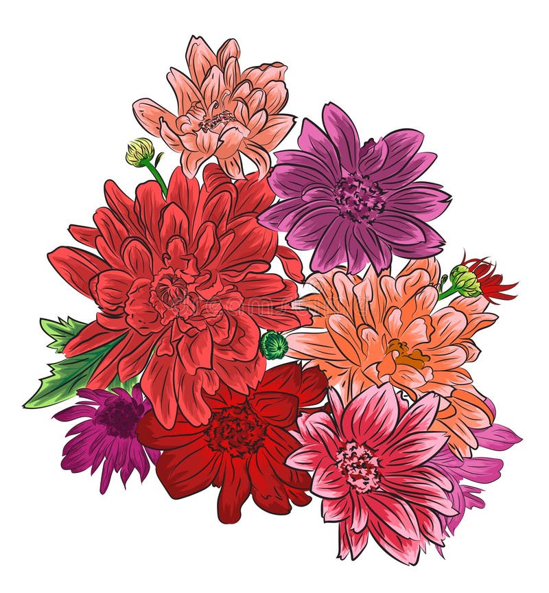 Romantic Chrysanthemum Flower Bouquet Isolated. Stock Vector