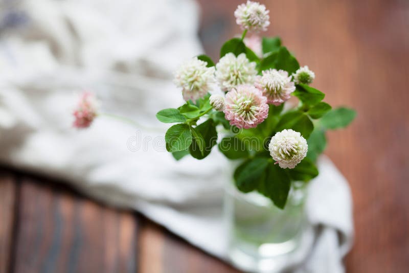 Romantic Clover Flowers Bouquet with Leaves Stock Photo - Image of