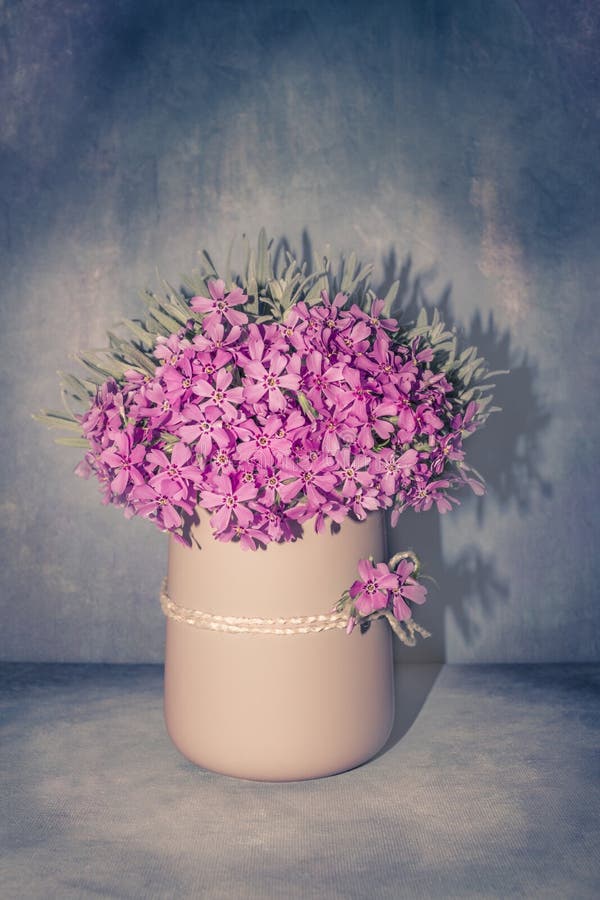 Romantic floral arrangement with fresh pink flowers close-up, spring blossom bouquet in a pastel vase on vintage blue background stock image Romantic floral arrangement with fresh pink flowers close-up, spring blossom bouquet in a pastel vase on vintage blue background stock image