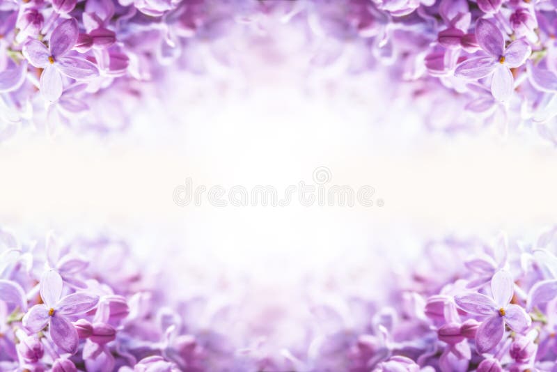 67,863 Purple Lilac Bouquet Floral Background Stock Photos - Free