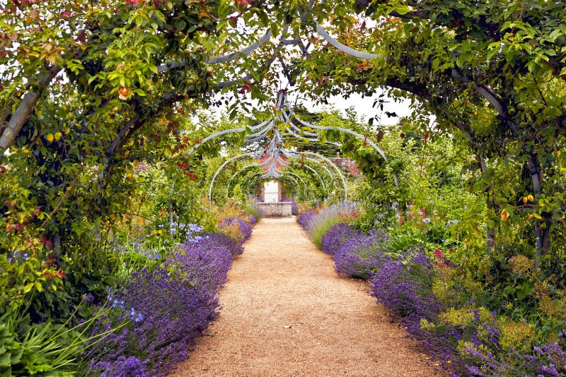 Romantic garden full of flowers in bloom