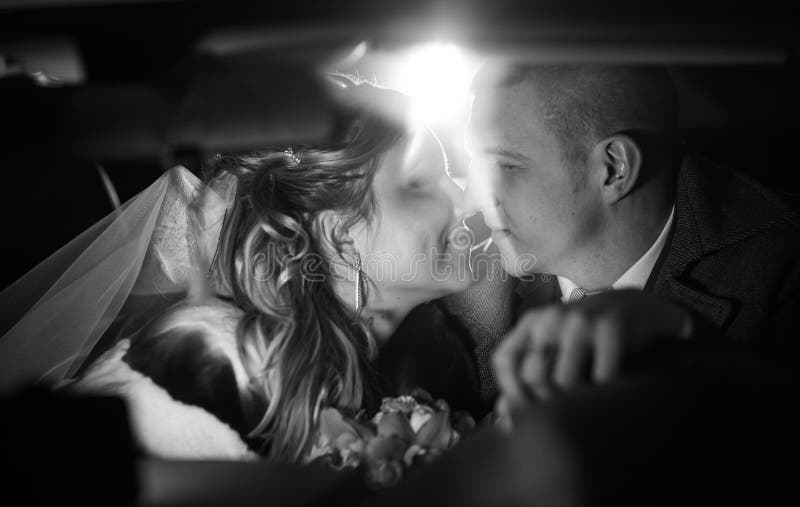 Romantic groom kissing beautiful bride closeup royalty free stock images Romantic groom kissing beautiful bride closeup royalty free stock images