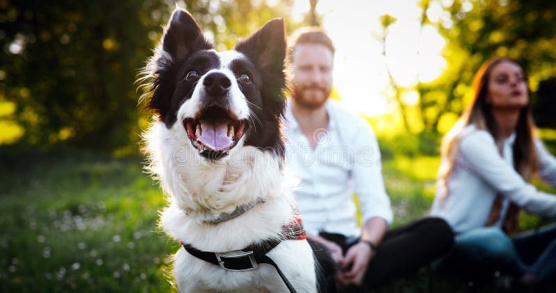 Romantic happy couple in love enjoying their time with pets stock image Romantic happy couple in love enjoying their time with pets stock image