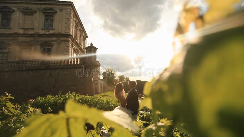 Romantic kiss of just married couple in sunset park near vintage baroque palace stock footage Romantic kiss of just married couple in sunset park near vintage baroque palace stock footage