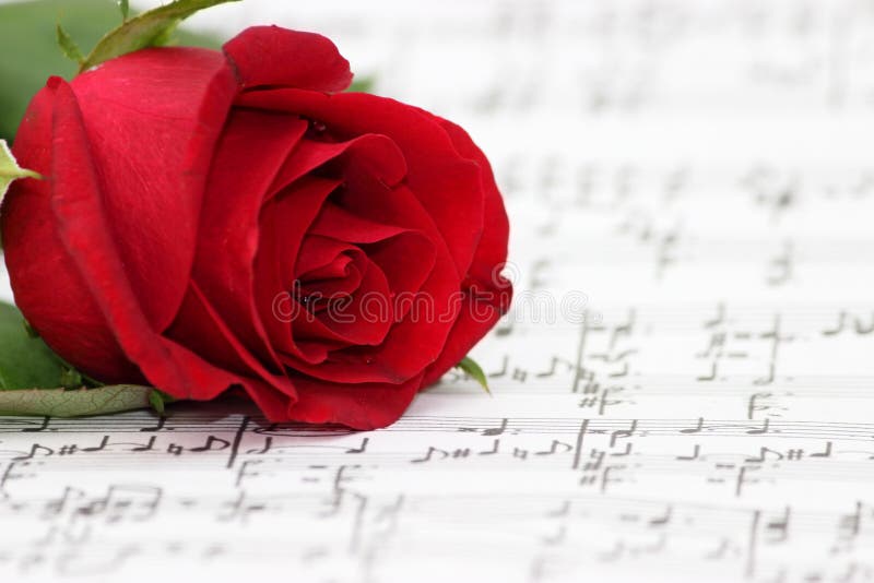 Klavírna hudba skript s deep red rose a zápisy a hudobných poznámok na papier.