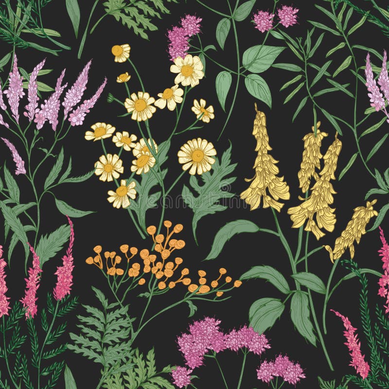 Romantic seamless pattern with tender wild blooming flowers and meadow flowering herbs used in floristry on black