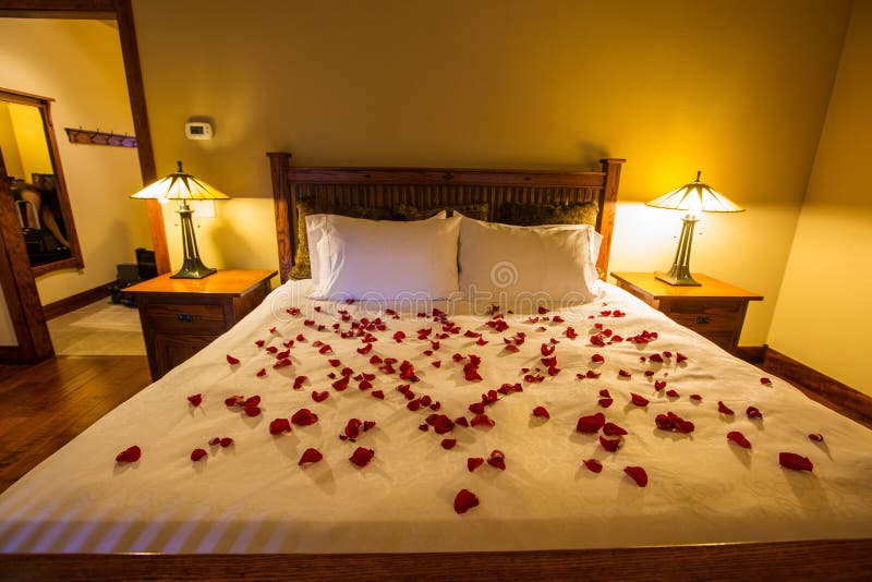 Romance setting with rose petals on bed stock photos.