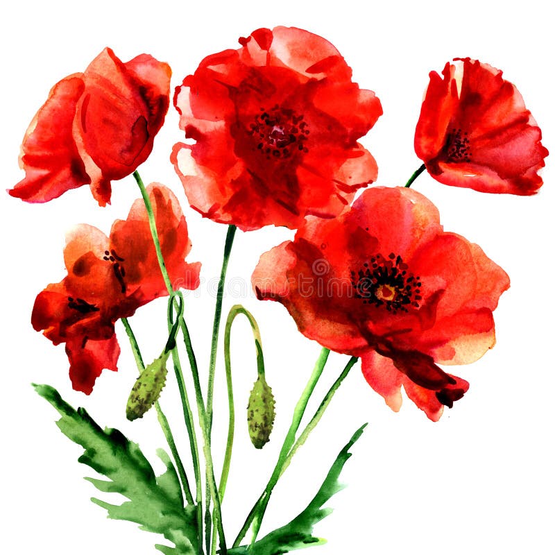 Stylized Poppy Flowers Illustration Stock Illustration - Illustration ...