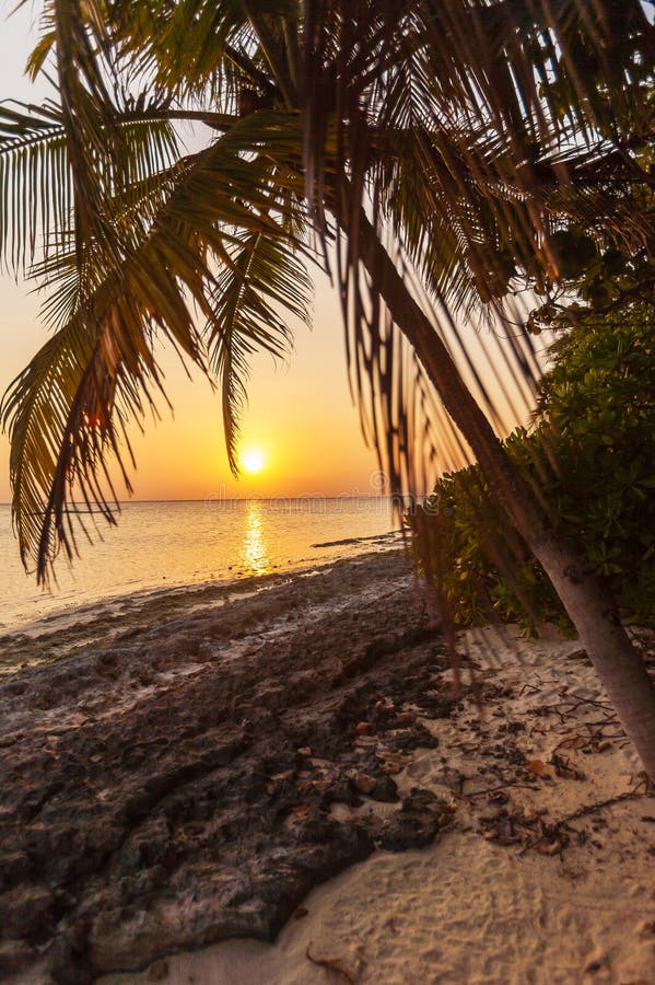 Romantic Sunset On A Desert Island, Maldives