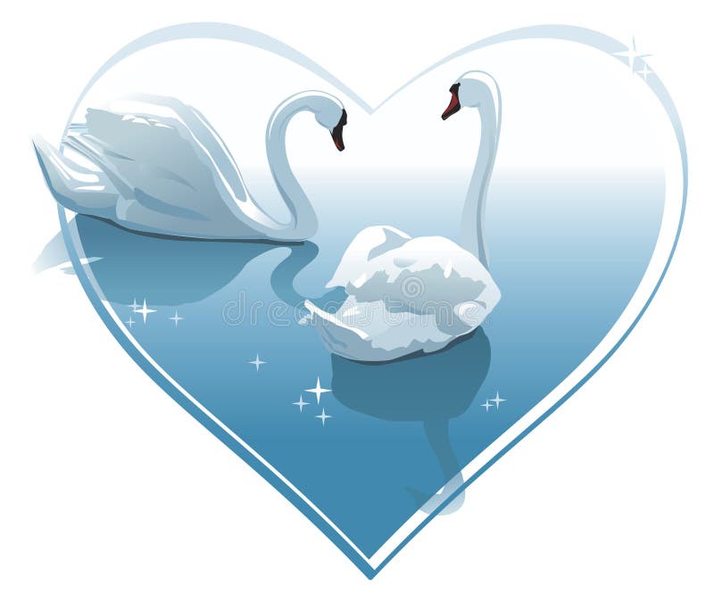 Romantic swans couple in a heart shape. Vector illustration