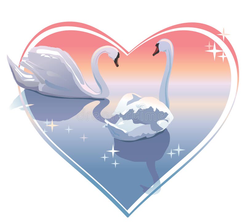 Romantic swans couple, sunset in a heart shape. Vector illustration