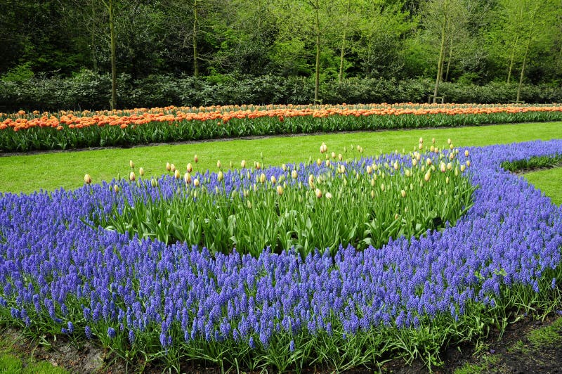 Romantic Tulip garden