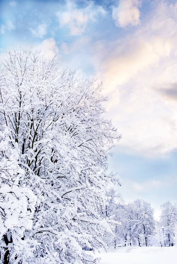 romantic winter scenery romantic winter scenery