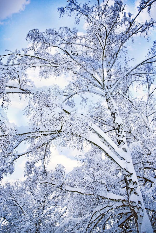 romantic winter scenery romantic winter scenery