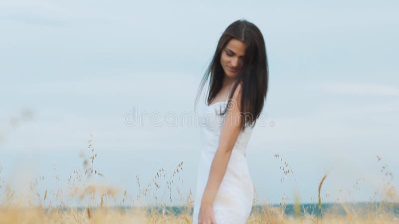 Romantic woman walking in golden fields of barley stock video Romantic woman walking in golden fields of barley stock video