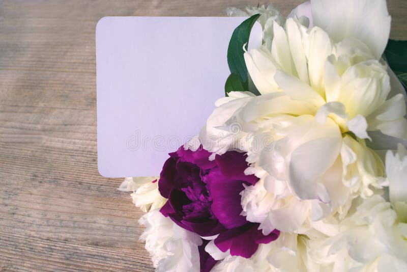 Romantische stemming - een boeket van pioenbloemen met een nota Foto in warme kleuren wordt gekleurd die stock foto's Romantische stemming - een boeket van pioenbloemen met een nota Foto in warme kleuren wordt gekleurd die stock foto's