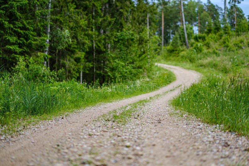 romantischer Kiesschotterweg in der Landschaft am grünen Abend des Sommers lizenzfreies stockfoto romantischer Kiesschotterweg in der Landschaft am grünen Abend des Sommers lizenzfreies stockfoto