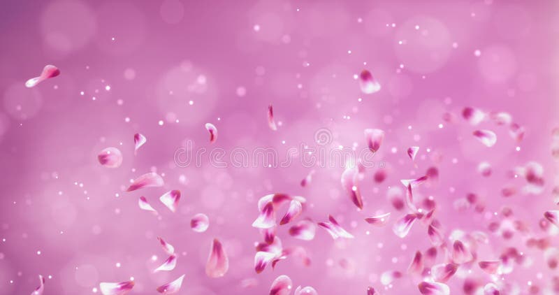 Romantisk röd rosa Rose Sakura Flower Petals Falling Placeholder för flyg ögla 4k