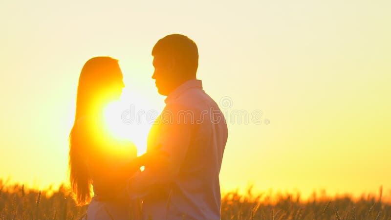 Romantyczna młoda szczęśliwa pary sylwetka w złotym pszenicznym polu przy zmierzchem Kobieta, mężczyzny całowanie przeciw i przyt