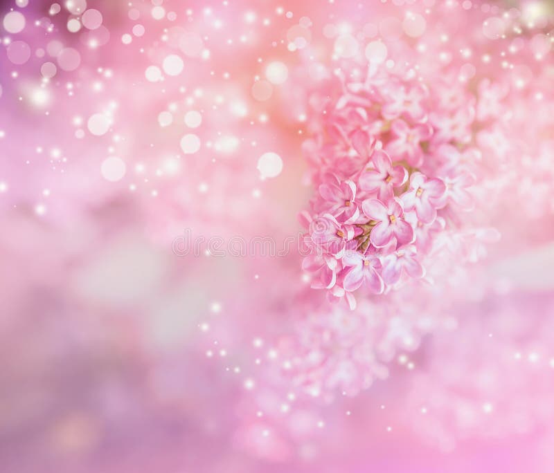 Romantyczny kwiecisty tło z bzu bokeh i kwiatami zdjęcia royalty free