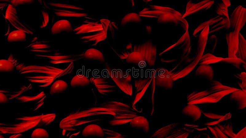 Romatic sexy red background of petals and berries