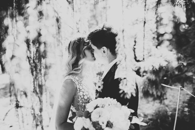 Romántico, cuento de hadas, pares felices del recién casado que abrazan y que se besan en un parque, árboles en fondo imagen de archivo libre de regalías Romántico, cuento de hadas, pares felices del recién casado que abrazan y que se besan en un parque, árboles en fondo imagen de archivo libre de regalías