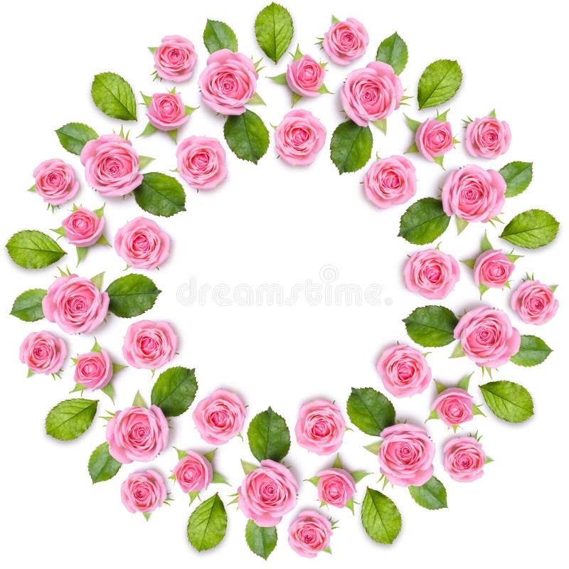 Rond ramkrans som göras av isolerade rosa rosor på vit backgroun royaltyfria foton Rond ramkrans som göras av isolerade rosa rosor på vit backgroun royaltyfria foton