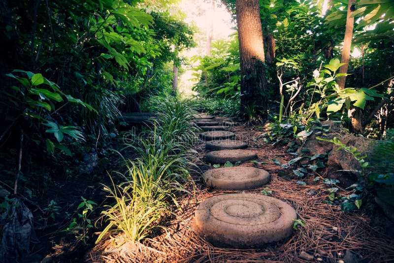Ronde stenen langs Olle Pathway door het bos, Seogwipo, Jeju-Eiland, Korea royalty-vrije stock fotografie Ronde stenen langs Olle Pathway door het bos, Seogwipo, Jeju-Eiland, Korea royalty-vrije stock fotografie