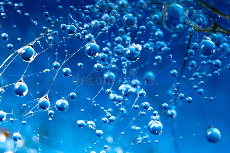 Ronde waterdalingen op het spinneweb op een blauw close-up als achtergrond royalty-vrije stock afbeeldingen Ronde waterdalingen op het spinneweb op een blauw close-up als achtergrond royalty-vrije stock afbeeldingen