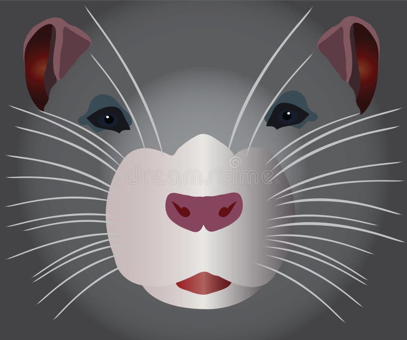 rongeur gris illustration stock rongeur gris illustration stock