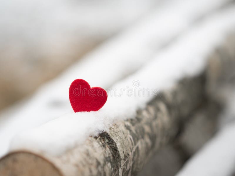 valentines day  red heart on the snow  woods  wooden  blurred background . valentines day  red heart on the snow  woods  wooden  blurred background